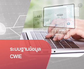 CWIE