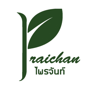paijan