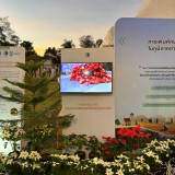 วว. โชว์ผลงานเพิ่มศักยภาพการผลิตและปลูกเลี้ยงไม้ดอกไม้ประดับ ... พารามิเตอร์รูปภาพ 4