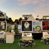 วว. โชว์ผลงานเพิ่มศักยภาพการผลิตและปลูกเลี้ยงไม้ดอกไม้ประดับ ... พารามิเตอร์รูปภาพ 2