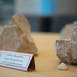 กพร. ผนึกกำลัง สวทช. เปิดตัวครั้งแรก “Mining 4.0 Index” ดัชน ... พารามิเตอร์รูปภาพ 2