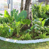 วว. จับมือ วช. ขับเคลื่อนโครงการปลูกไม้ดอกไม้ประดับเพื่อสร้า ... Image 1