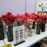 วว./วช. โชว์ศักยภาพโครงการศูนย์รวมผู้เชี่ยวชาญด้านเทคโนโลยีก ... พารามิเตอร์รูปภาพ 2