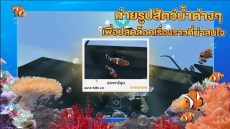 STKC Thai Sea Discovery พารามิเตอร์รูปภาพ 2