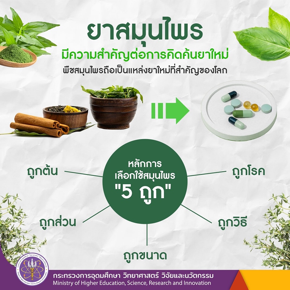 Infographic/Quote - ผลิตภัณฑ์ยาจากสมุนไพร Infographic/Quote - ผลิตภัณฑ์ยาจากสมุนไพร
